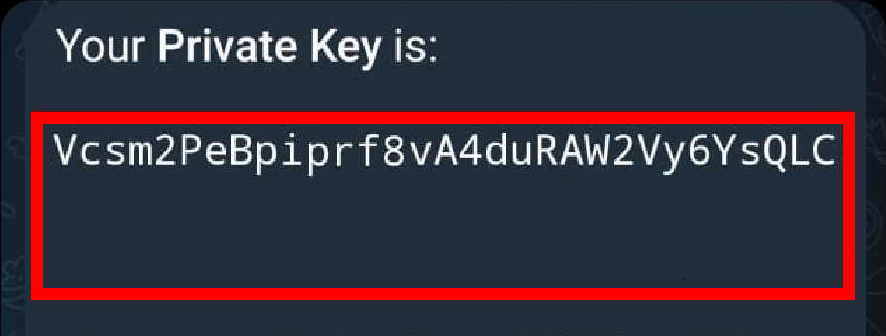 Copy your Private Key