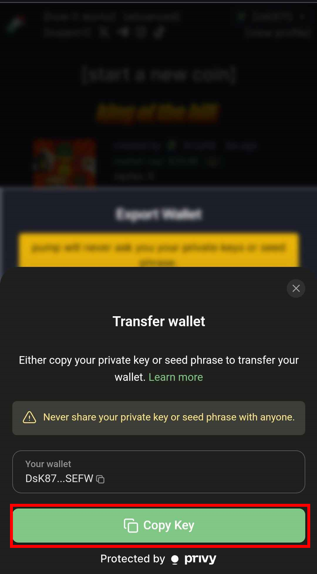 Copy private key