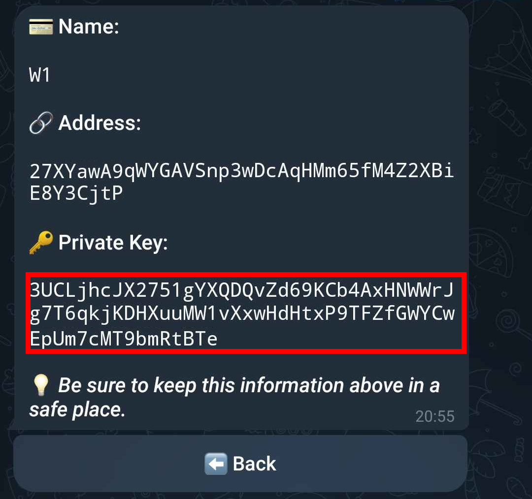 Copy Private Key